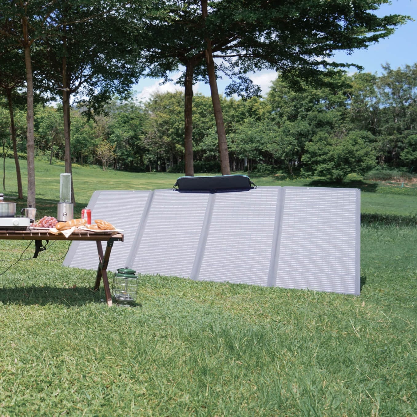 Panel Solar Portátil EcoFlow de 400 W (accesorio recomendado) - Image 5